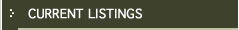 current listings button link